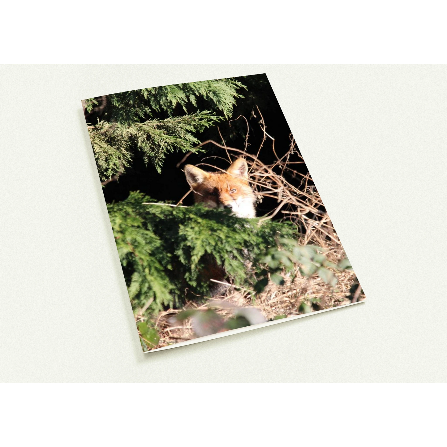 a146e87b-2536-4764-8324-85b4000f92fa