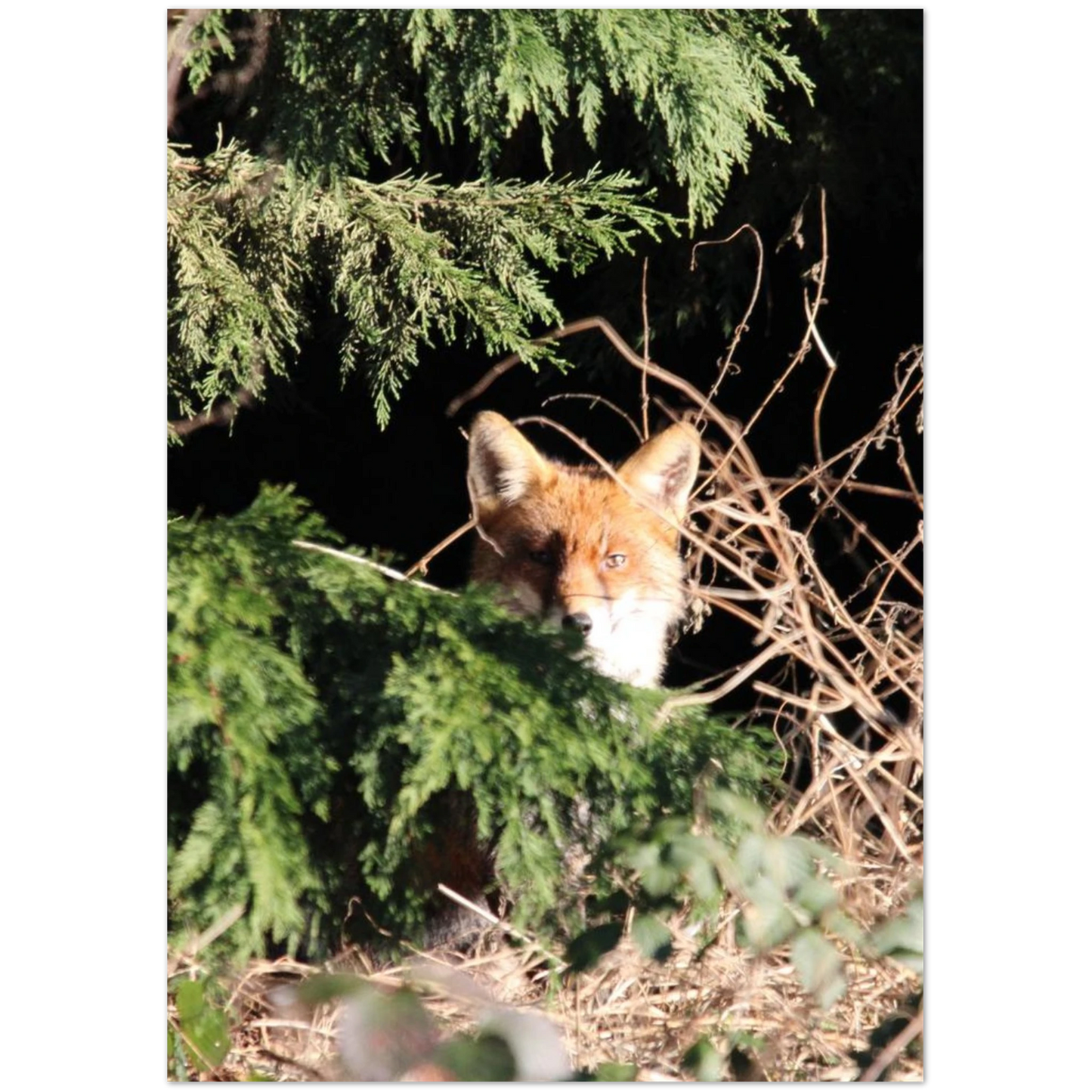 aa360795-88e7-4875-af65-2e122703f978