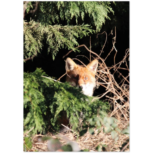 aa360795-88e7-4875-af65-2e122703f978