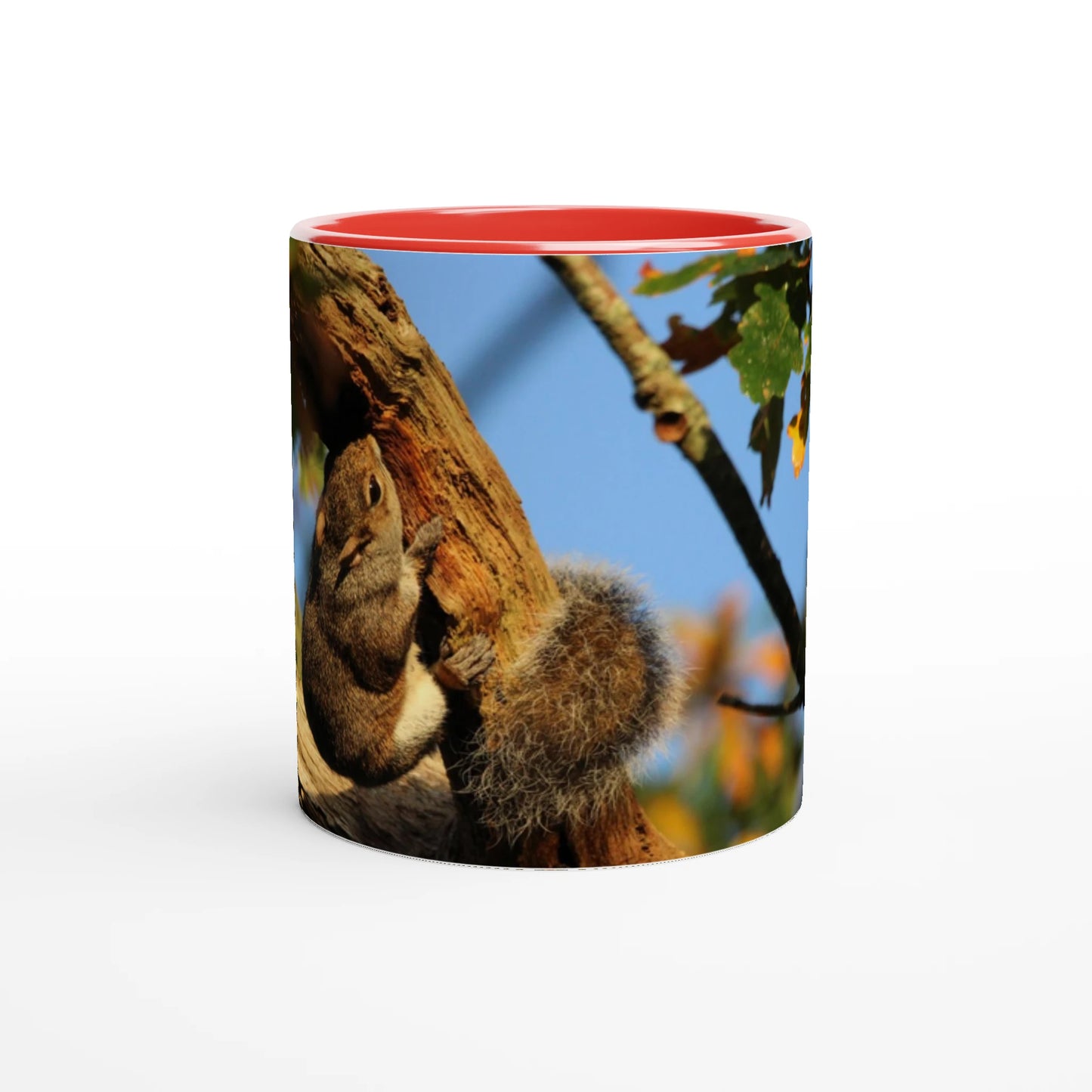 acf22df2-3507-4469-8ec1-51d4041a01ec