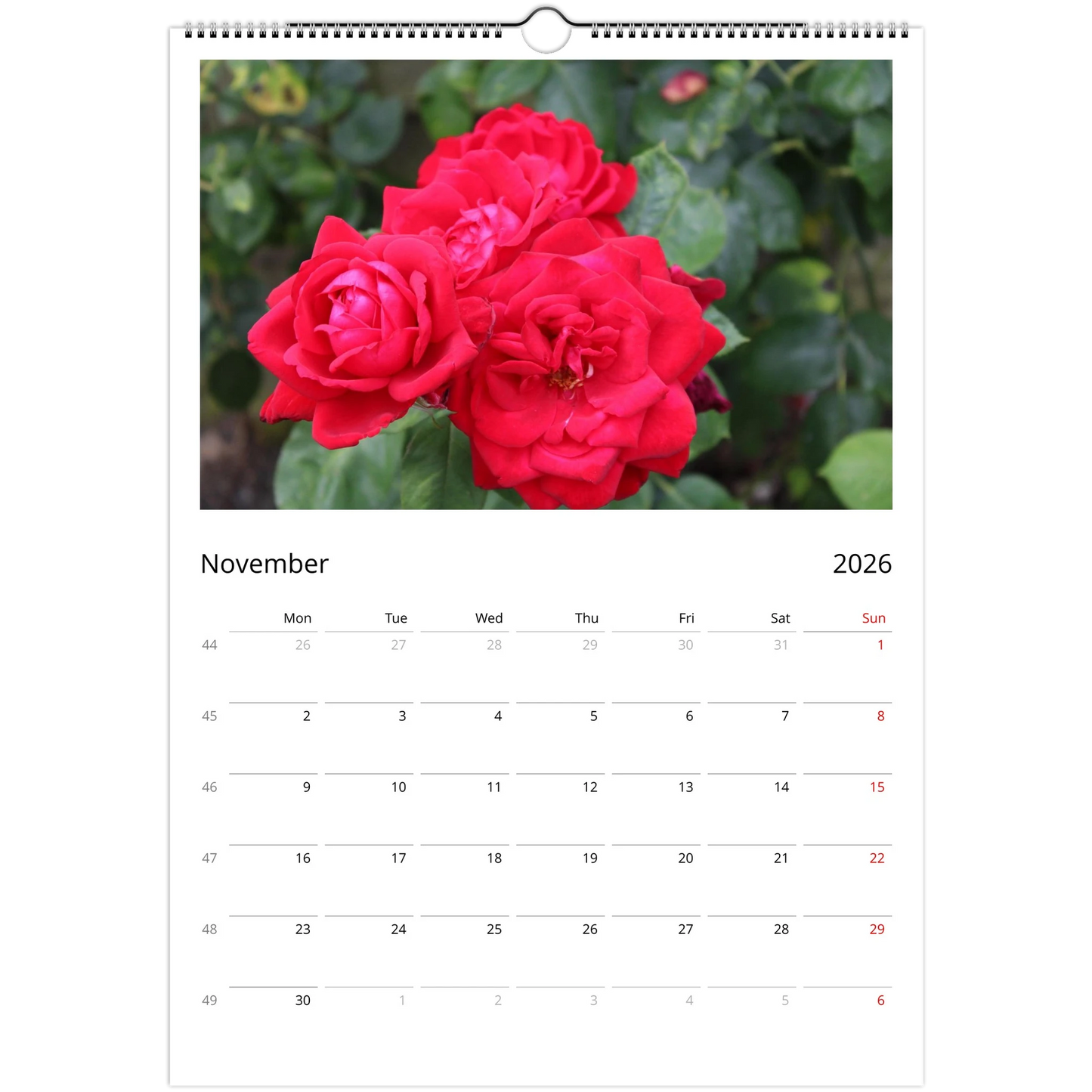 ada67616-23e4-4bd7-80c9-4cd7c1561717