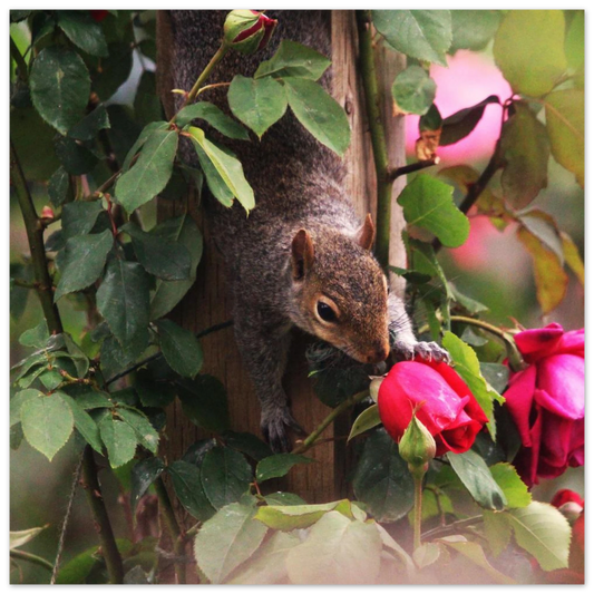 aea69e51-7176-4082-9a99-09b21fc5e11a