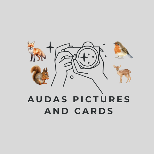  Audas Pictures and Cards  