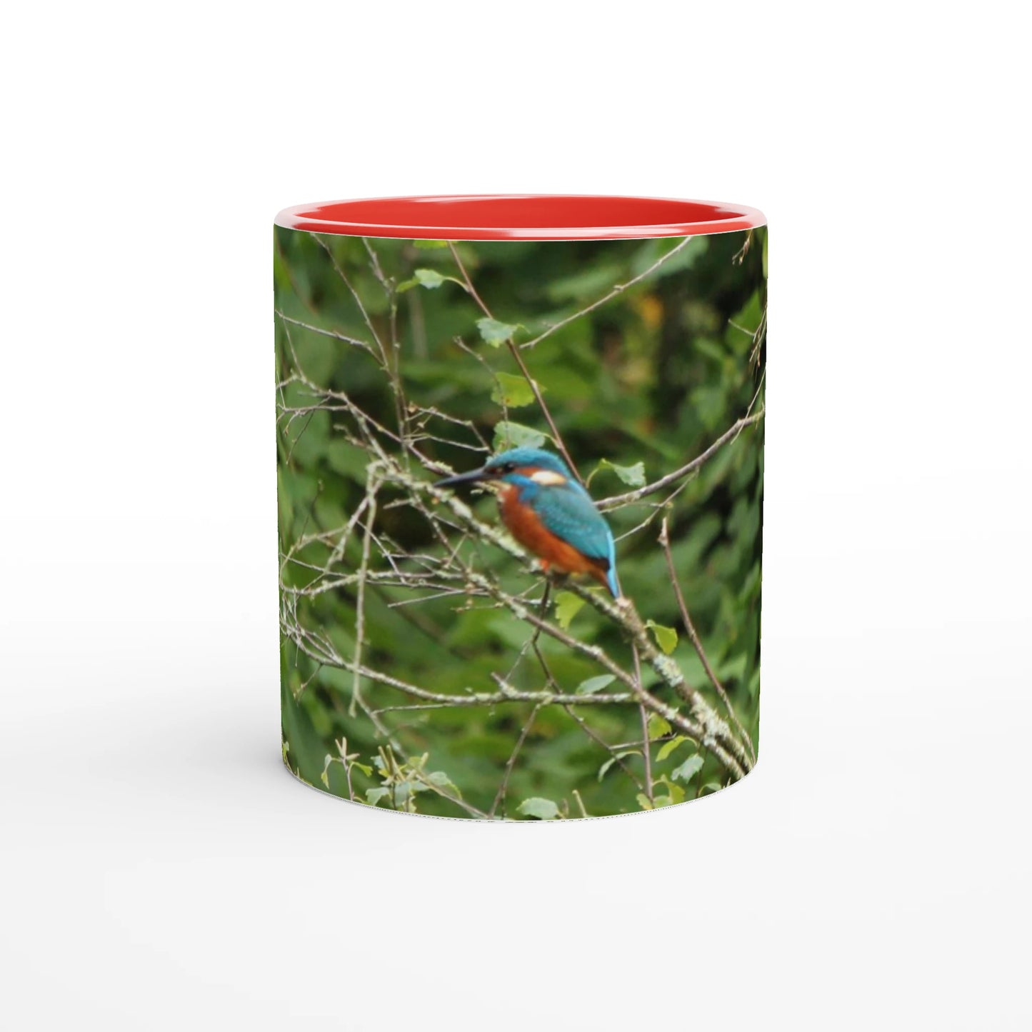 b0a1ec98-ddcc-4715-9e30-4f35a7e447c7