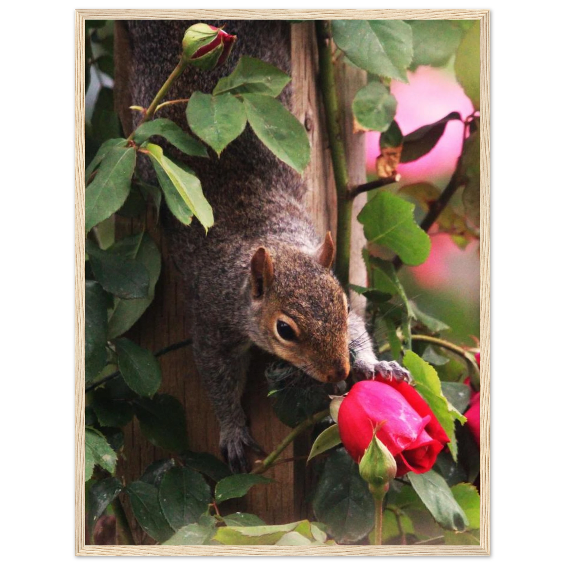 b0dc312c-9be8-4b06-aba6-3d2aa7d69a8f