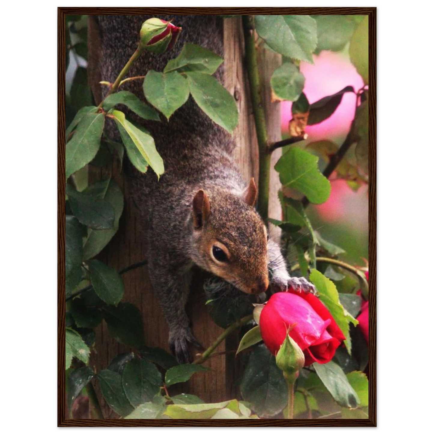 b199d679-d684-4609-94e7-05282f950c73