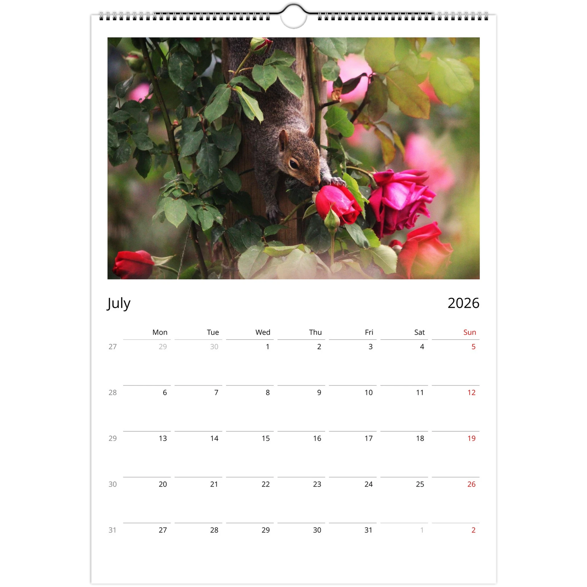 b4abf532-94bf-439f-8c7a-2b76382d03ad