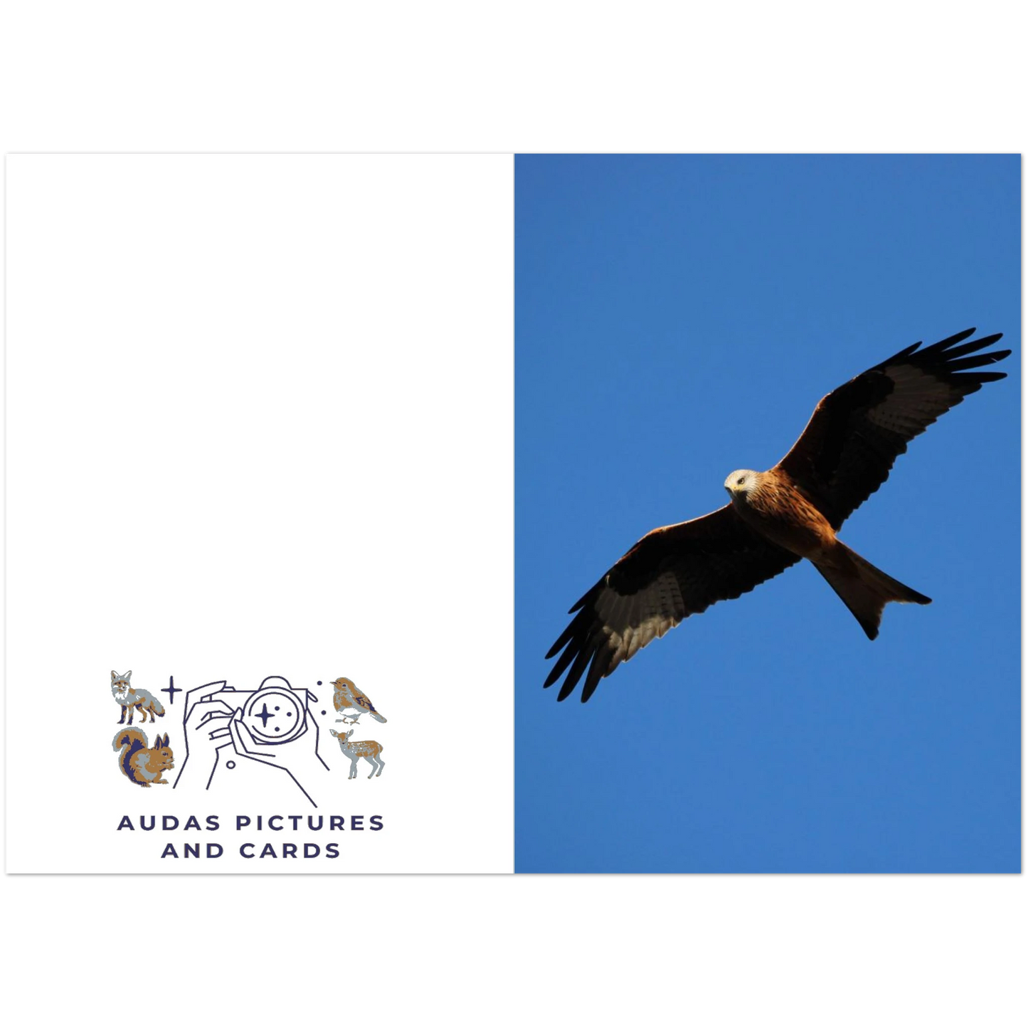 b6c468f2-8789-44c5-a213-3f8b1e5f9052