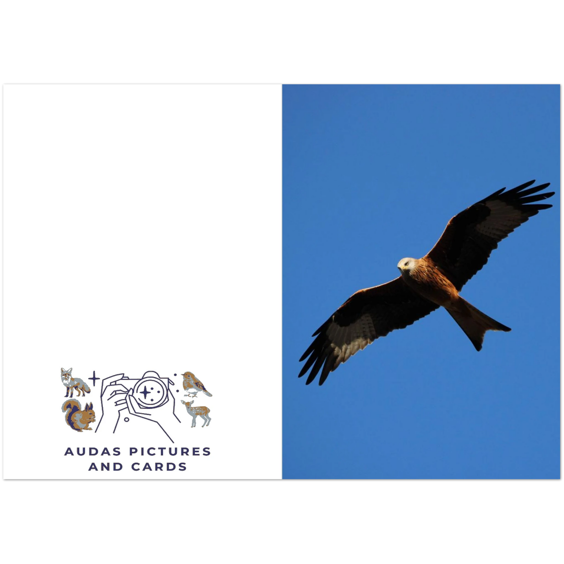 b6c468f2-8789-44c5-a213-3f8b1e5f9052