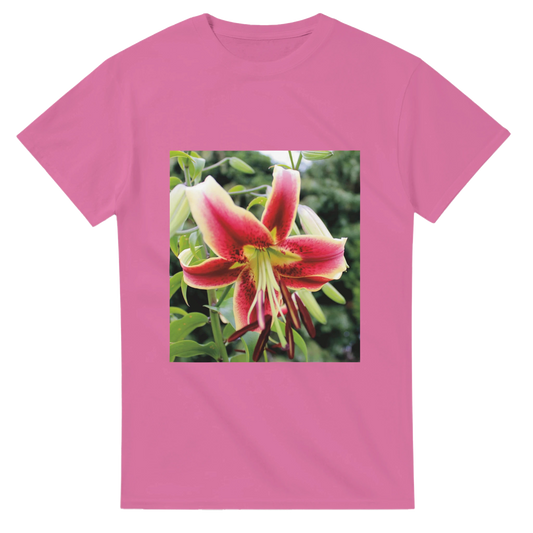 b8cc0ccc-7877-4d1a-957d-ff924f04b8ee