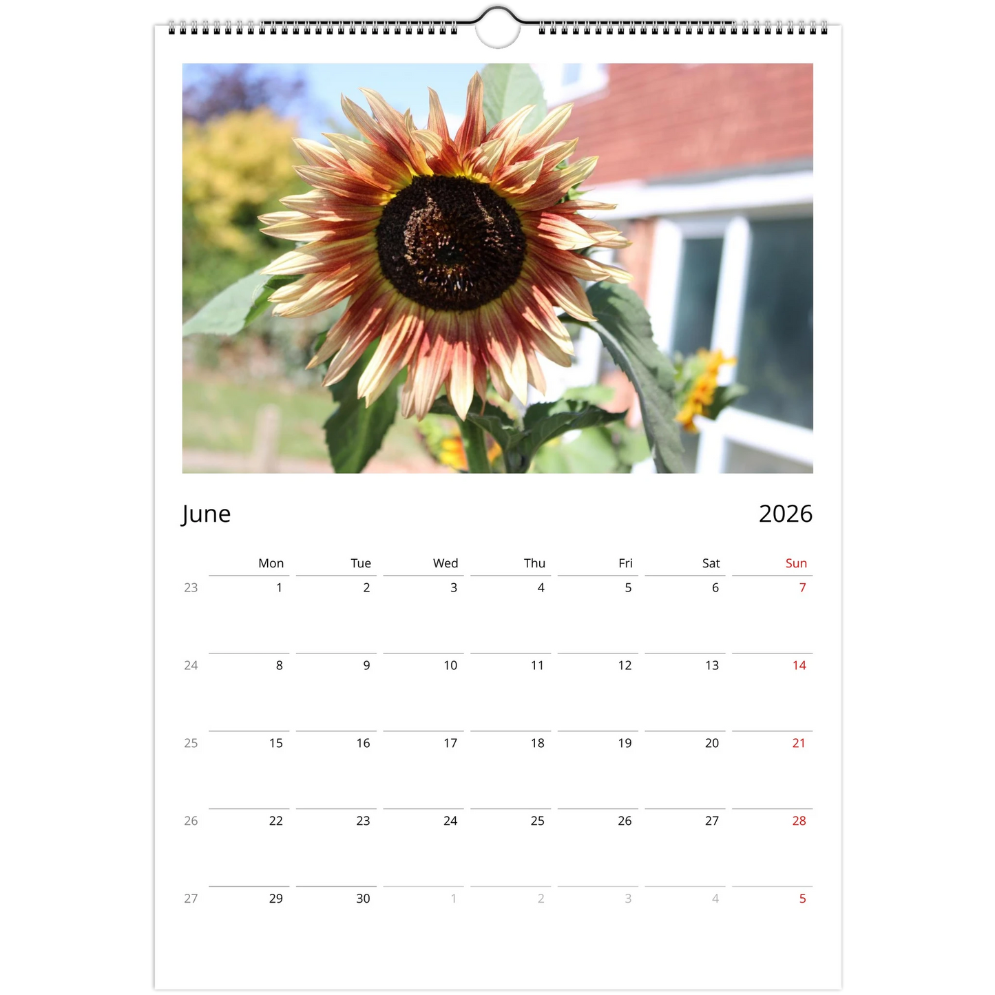 c02ad13e-67be-47af-8edf-f826fe545107