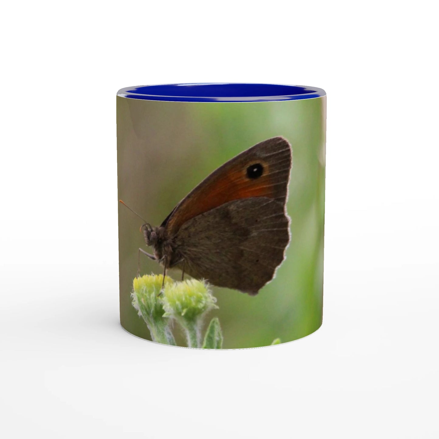 c43e6eee-05f4-41d1-b652-a81242358fac