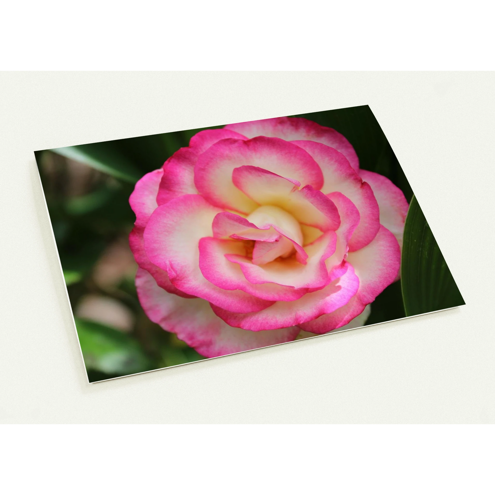 c86b4133-a131-4e98-a395-d4ea962f2581