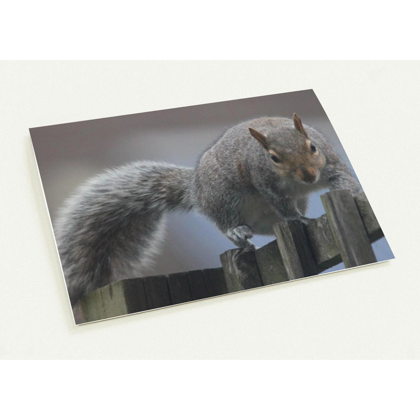 cc1387cd-5279-478e-8c59-7ac01307d733