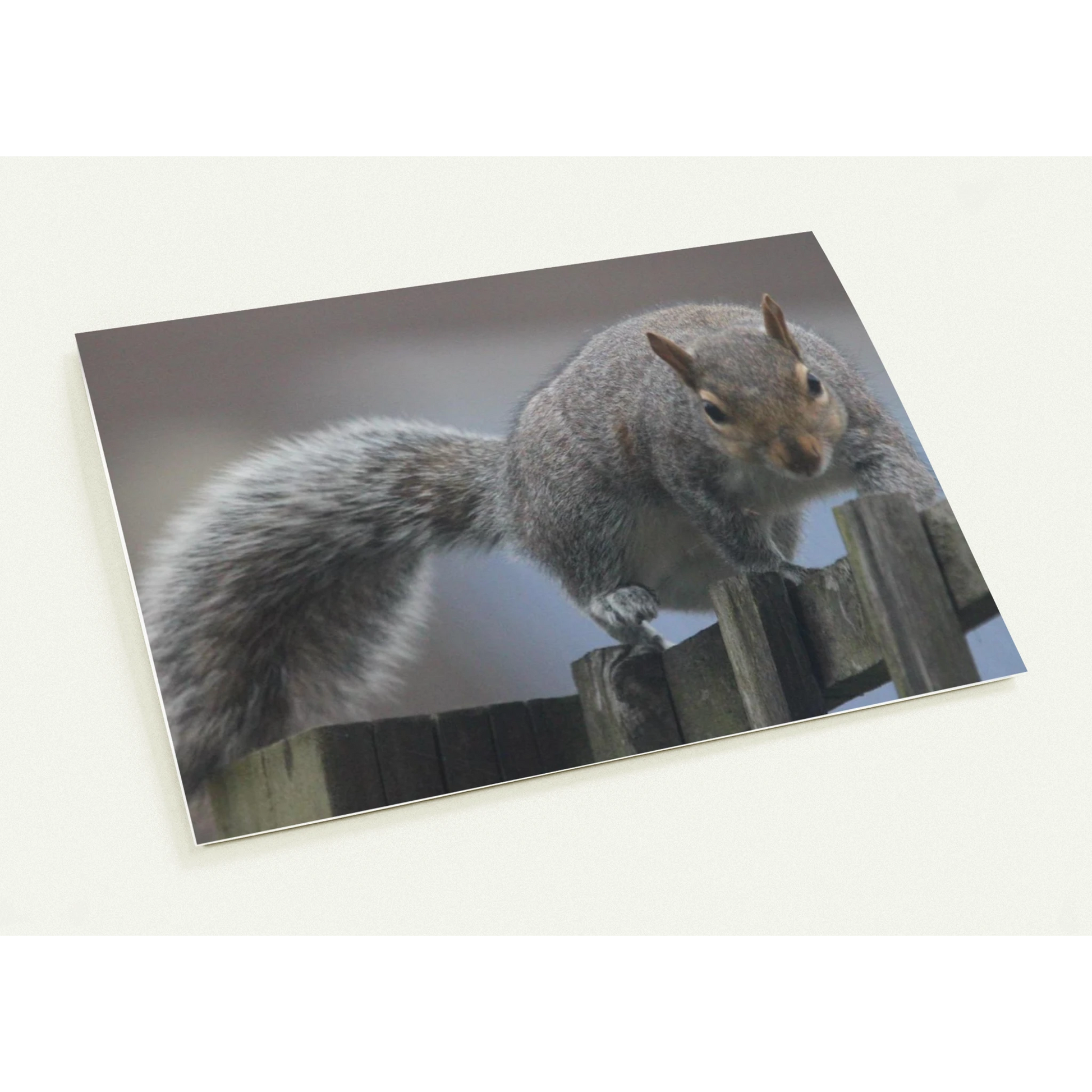 cc1387cd-5279-478e-8c59-7ac01307d733