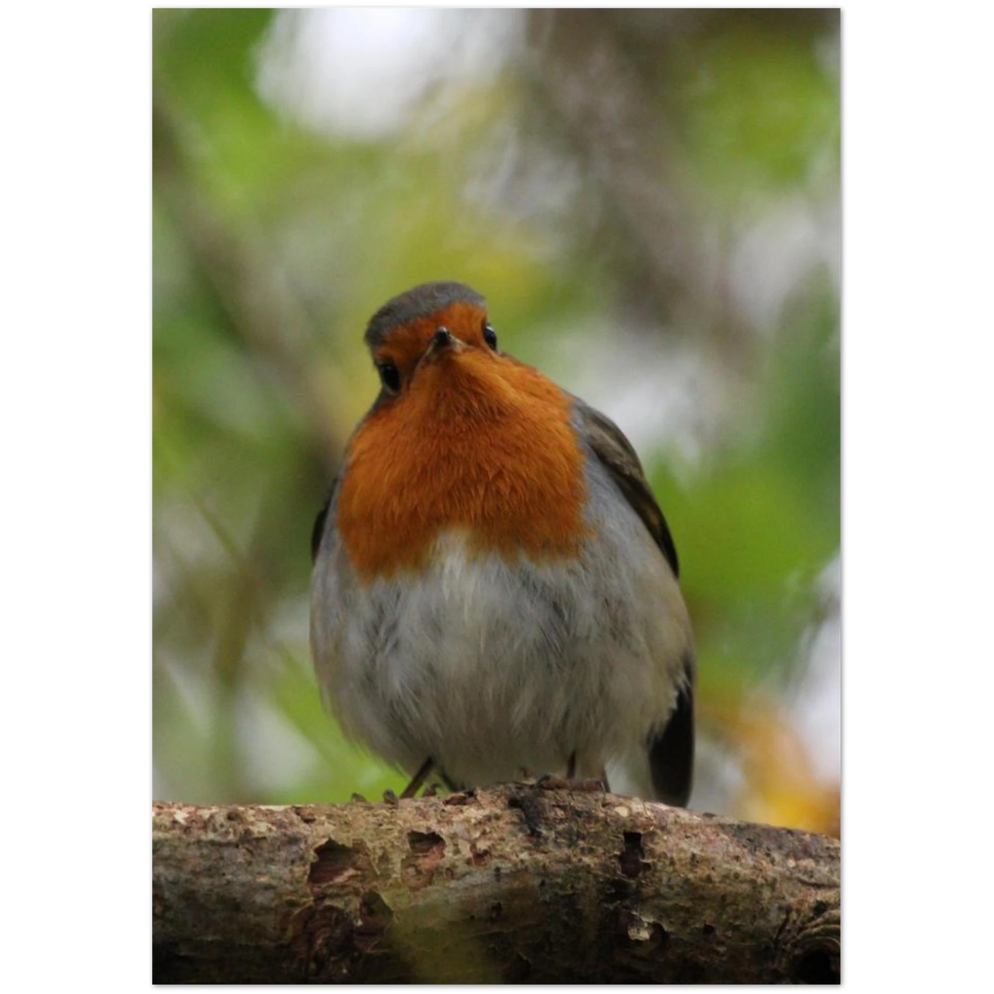 cc443485-a997-46e5-8384-51cadb46f28f