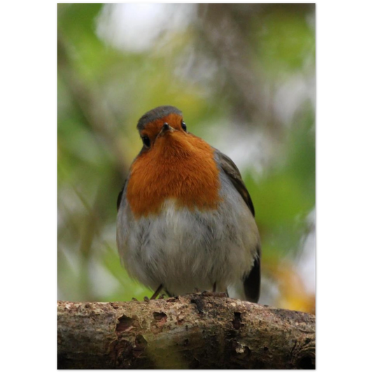 cc443485-a997-46e5-8384-51cadb46f28f