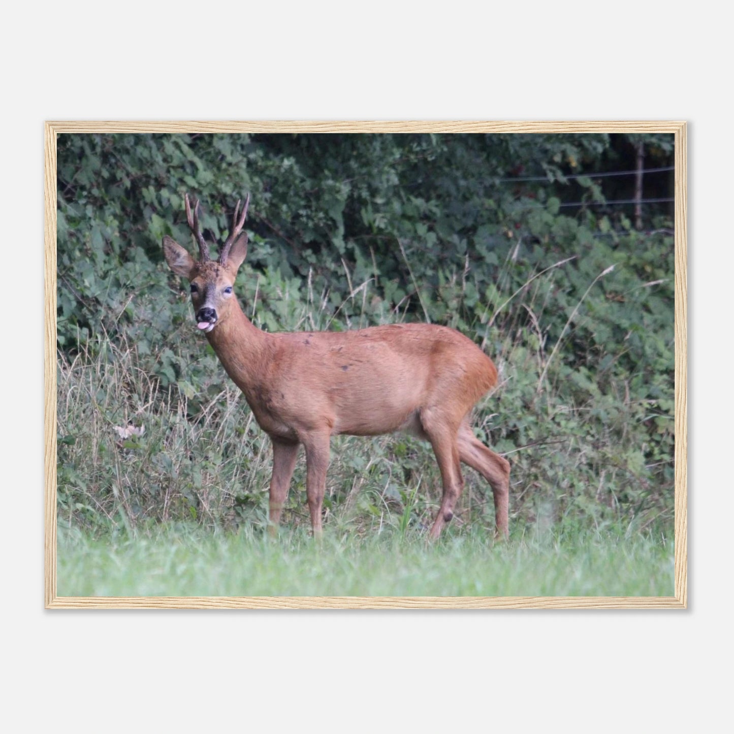 ccae152c-004b-4004-9238-f2dab110d0cc