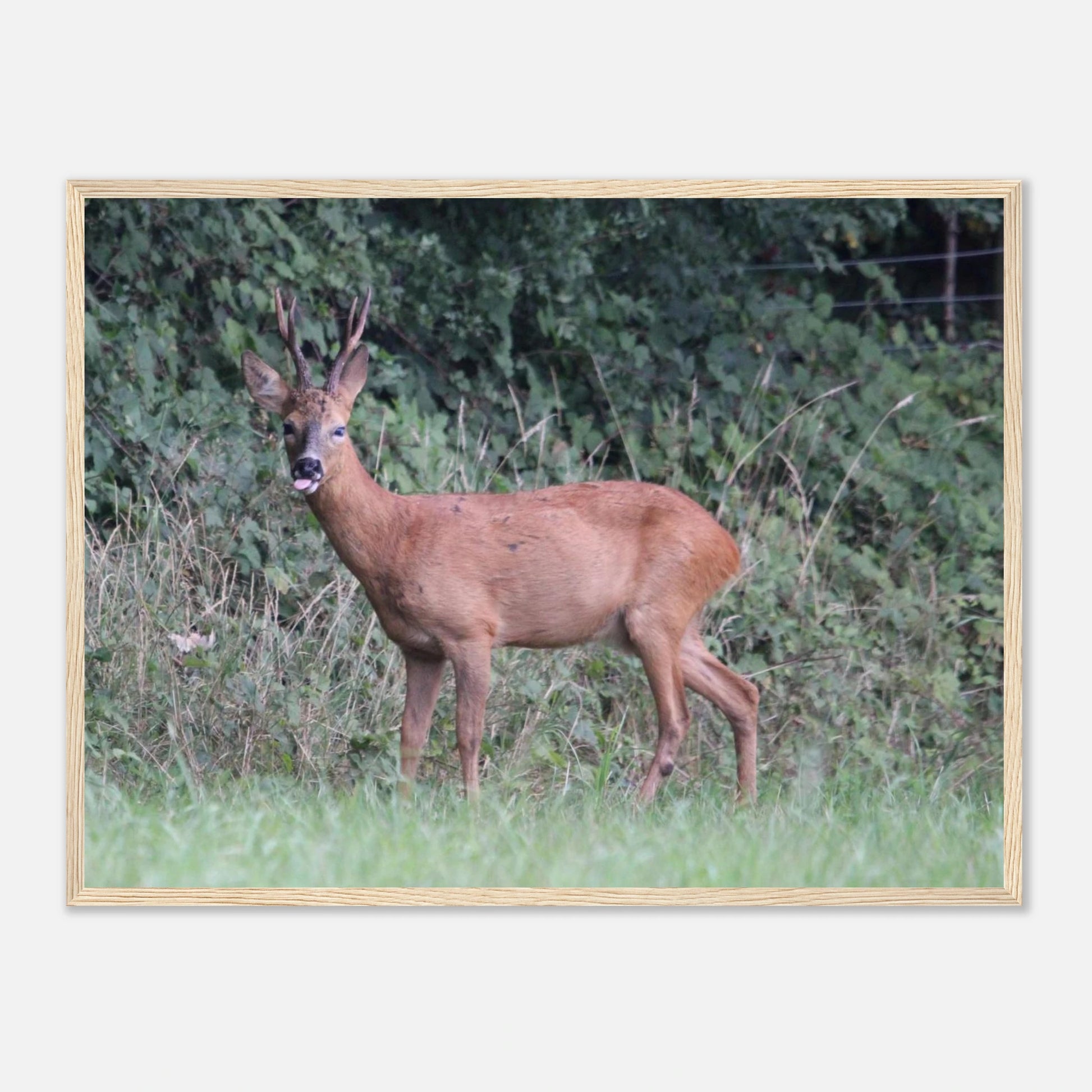 ccae152c-004b-4004-9238-f2dab110d0cc