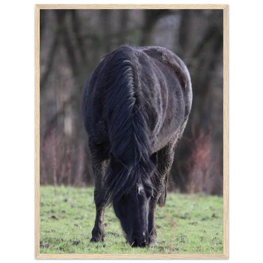 cfeaf3cd-ef05-468c-8374-75cf7db5ec8c