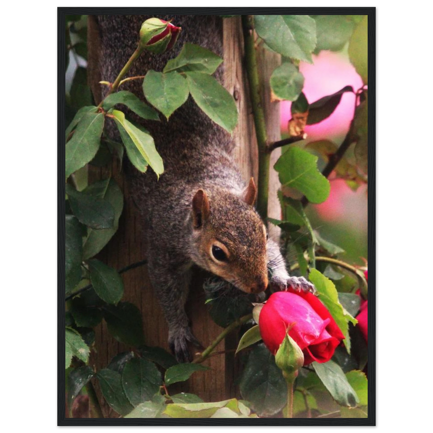 d273d5a9-654f-4cef-99b9-dba9aaea23e5