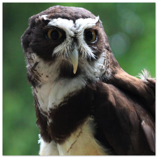 d39a03c6-cf4f-482e-baca-b7a94c7c38af