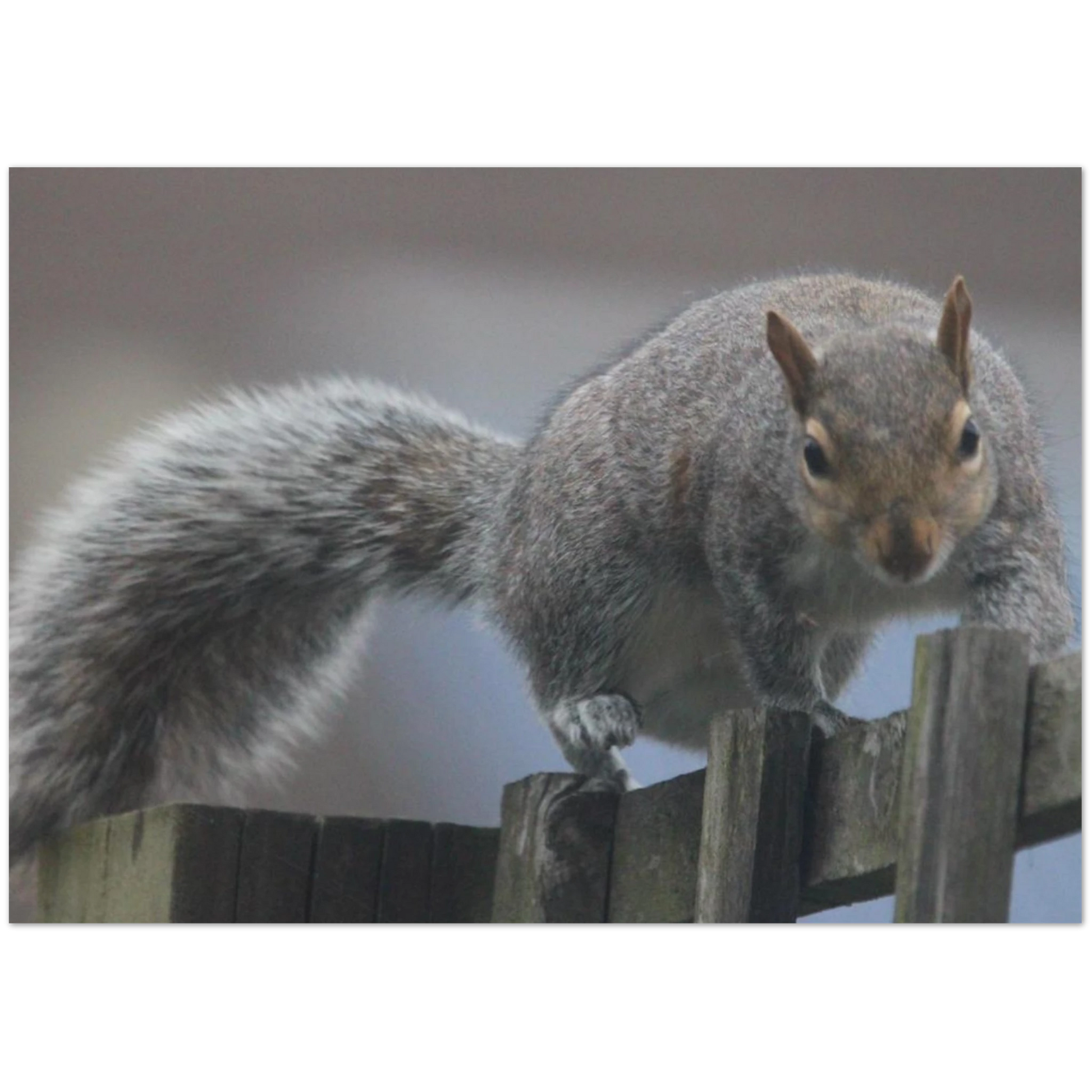 d3d6a19d-51fd-49d4-83ed-133ab287d00d