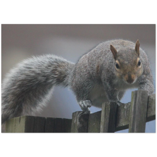 d3d6a19d-51fd-49d4-83ed-133ab287d00d