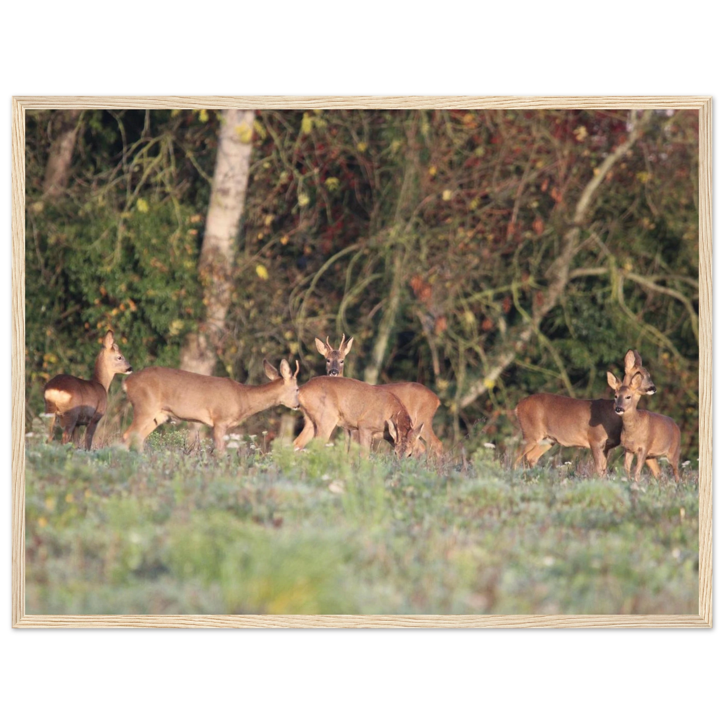 d4e4e5e2-dd6d-4c19-b775-18d850ebcf87