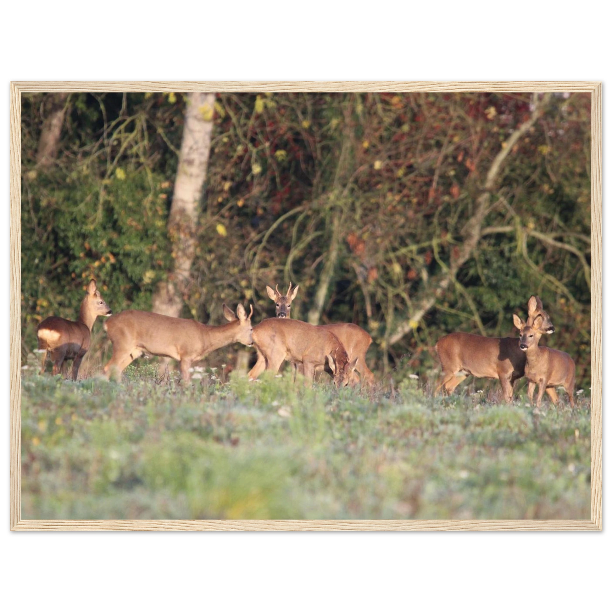 d4e4e5e2-dd6d-4c19-b775-18d850ebcf87