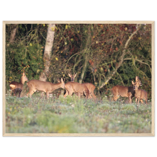 d4e4e5e2-dd6d-4c19-b775-18d850ebcf87