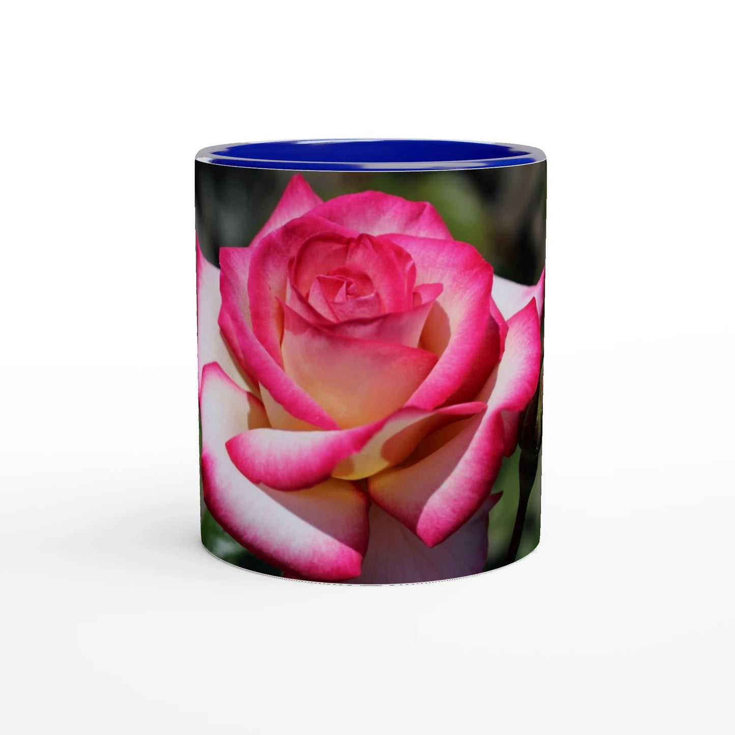 d69b0f32-a21d-45b6-9c5f-cdd0d0751a8a