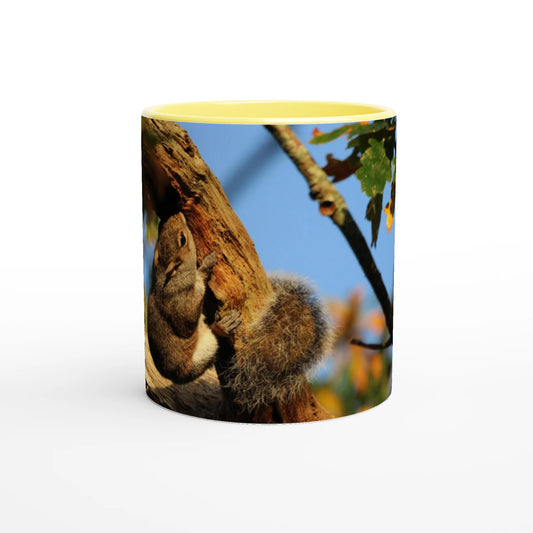 d9a0a2f5-841a-4bd9-b773-e720aadd482c