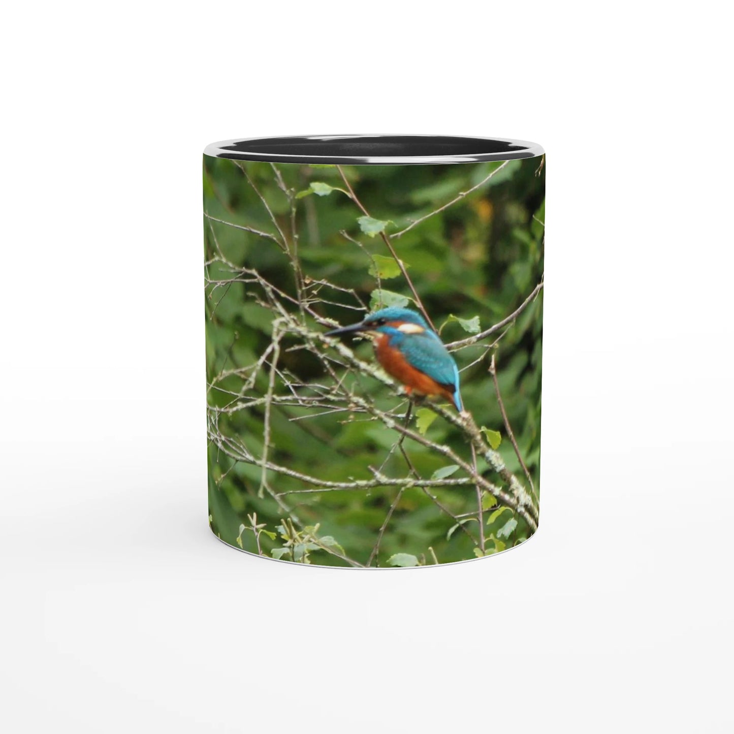 dc0cfef1-f275-4c3d-93d4-5081ac66128e