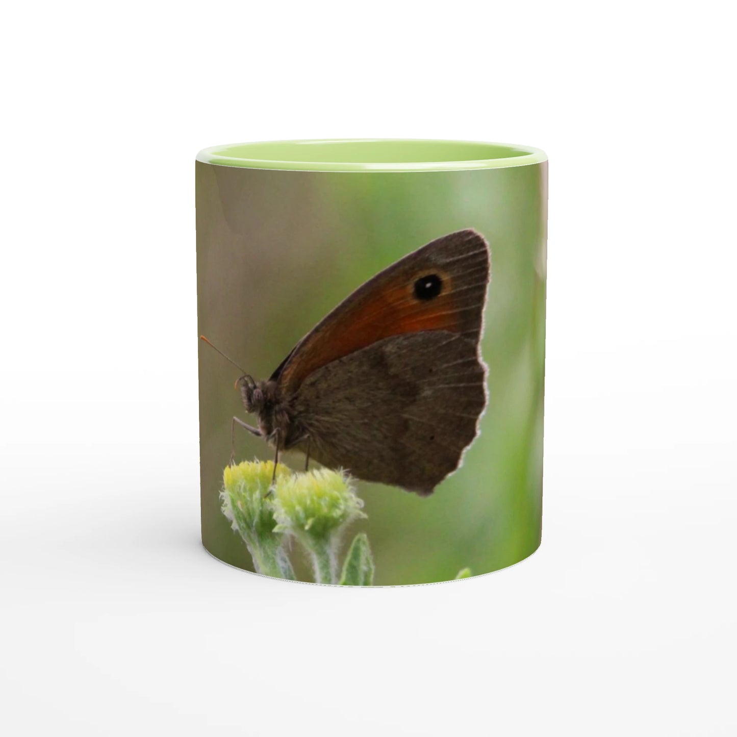 dc23fb61-4c89-438c-be1a-48a69d647cca