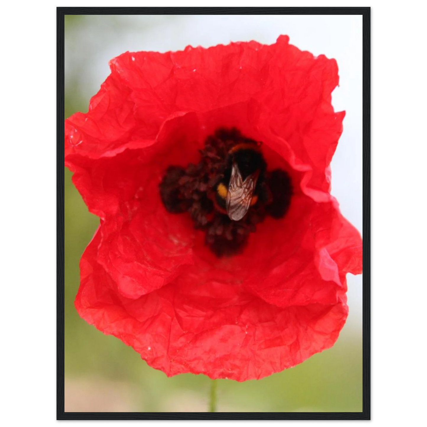 df77b876-2aa1-483b-a630-a59d1653f07e