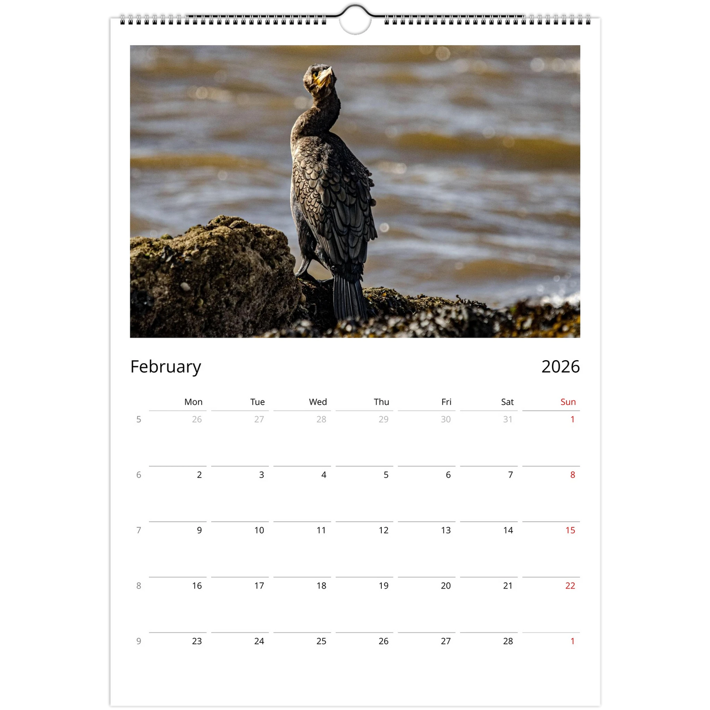 e18d6500-7df1-4cc7-83da-40377aeb966d