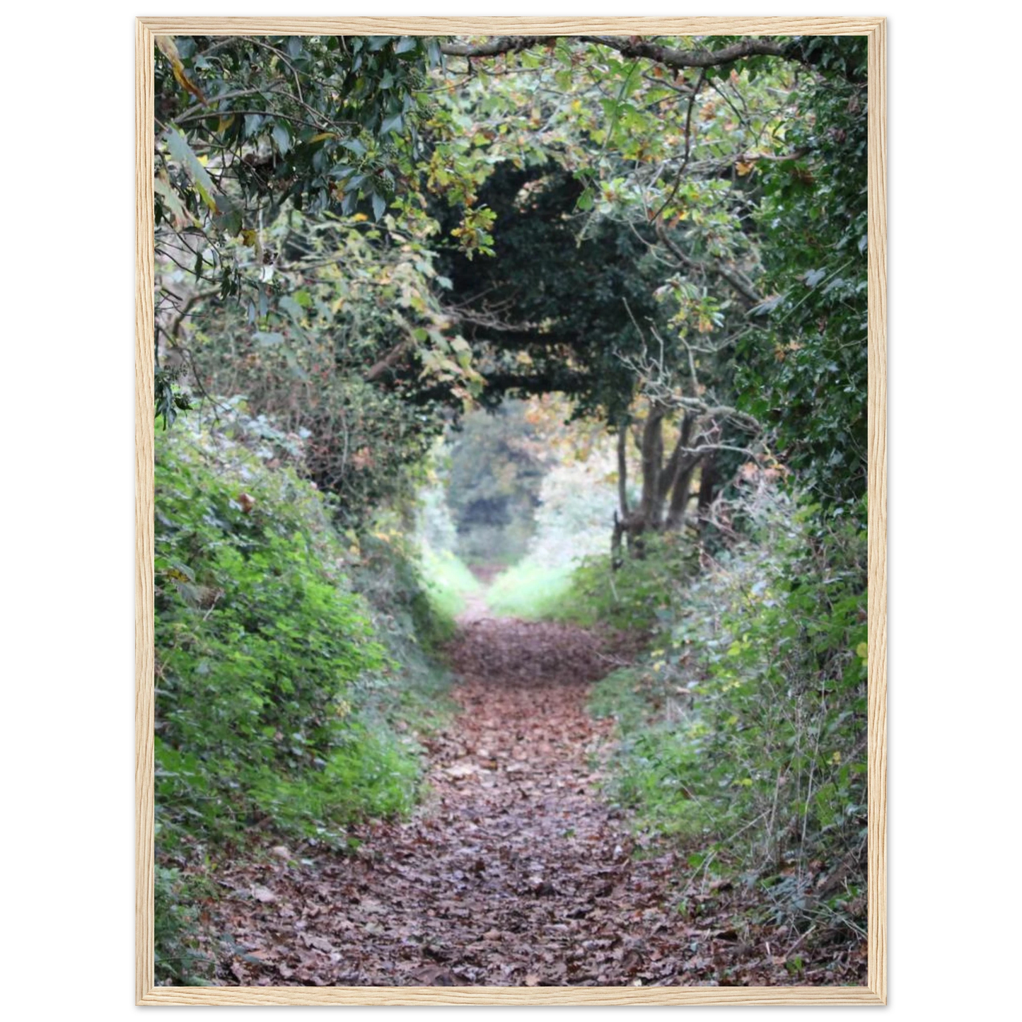 e2e30a52-e16b-4b6e-b7fa-e50ff43024d8