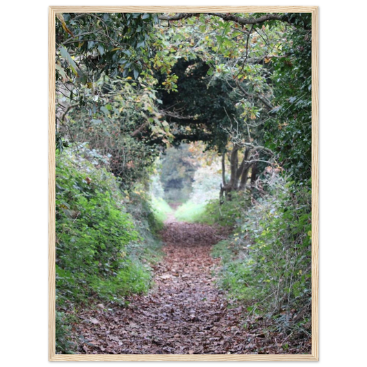 e2e30a52-e16b-4b6e-b7fa-e50ff43024d8