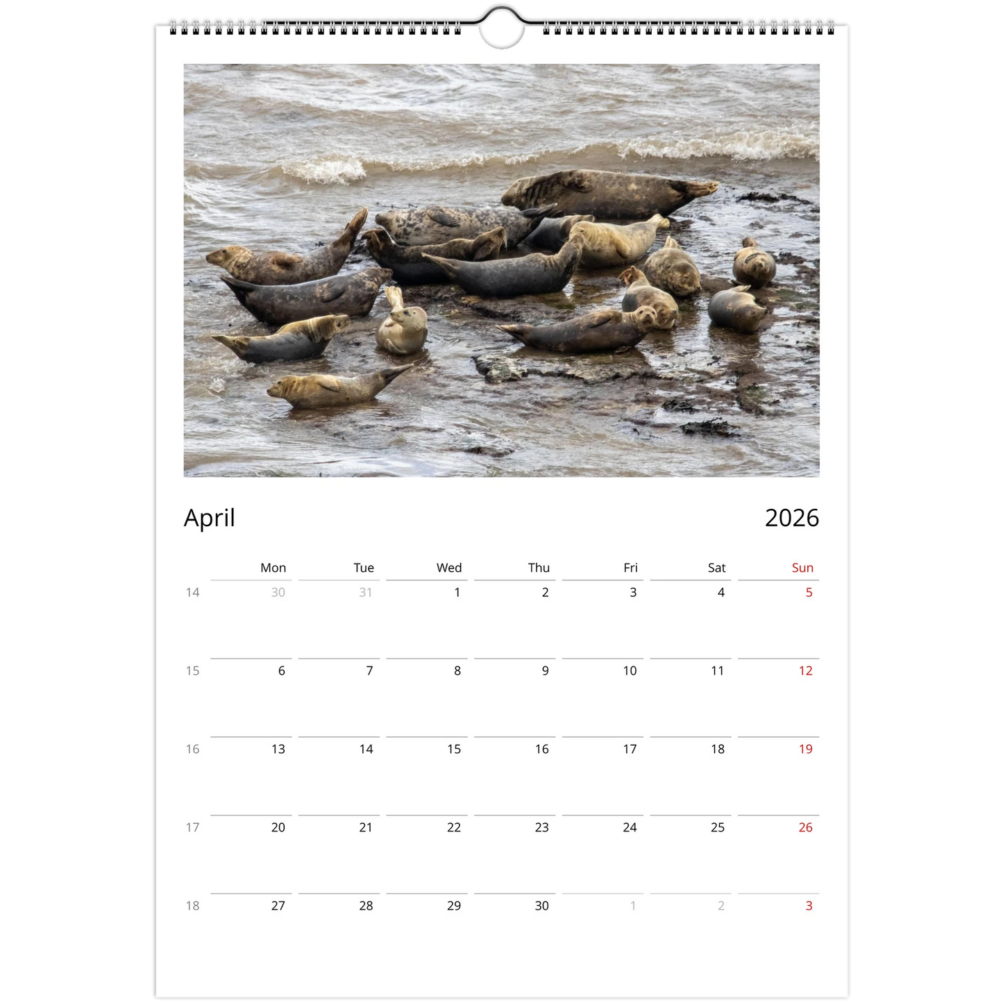 e2ed5544-2446-4620-a455-7976843a1862