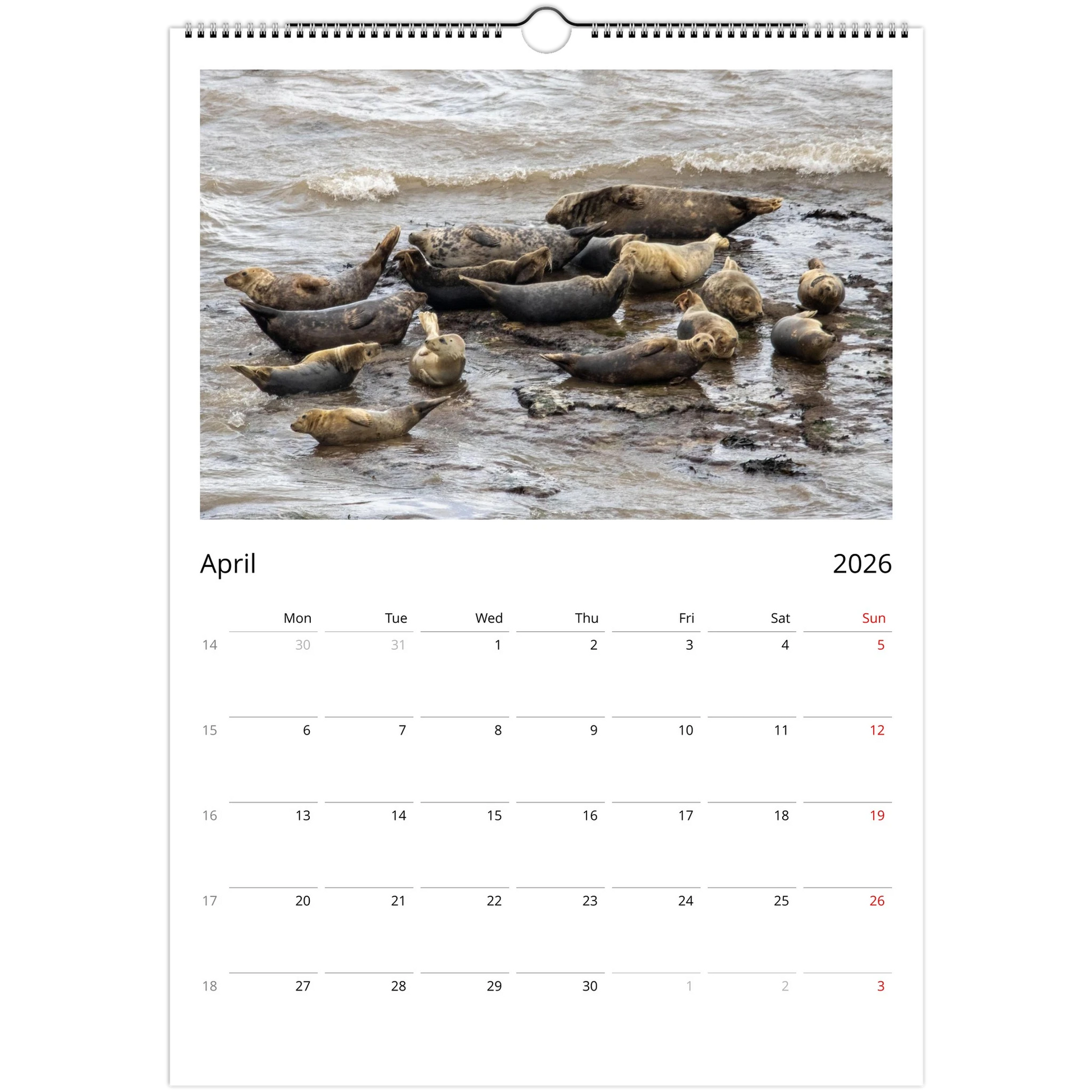 e2ed5544-2446-4620-a455-7976843a1862