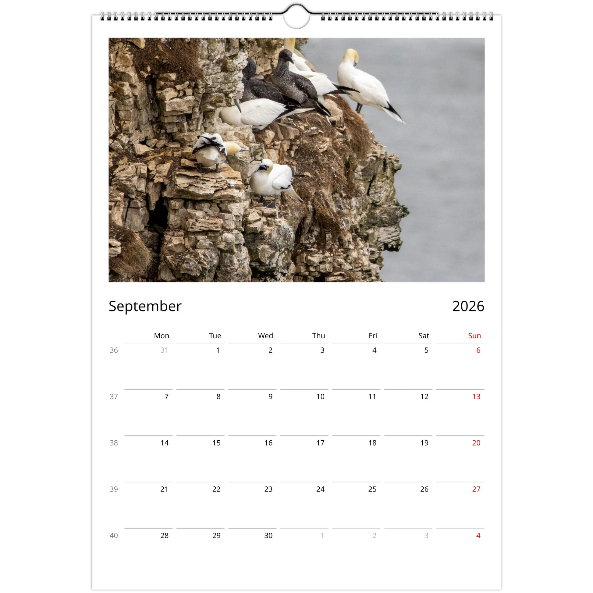 e3ae34f2-d58d-4d69-911d-ab23f6491760