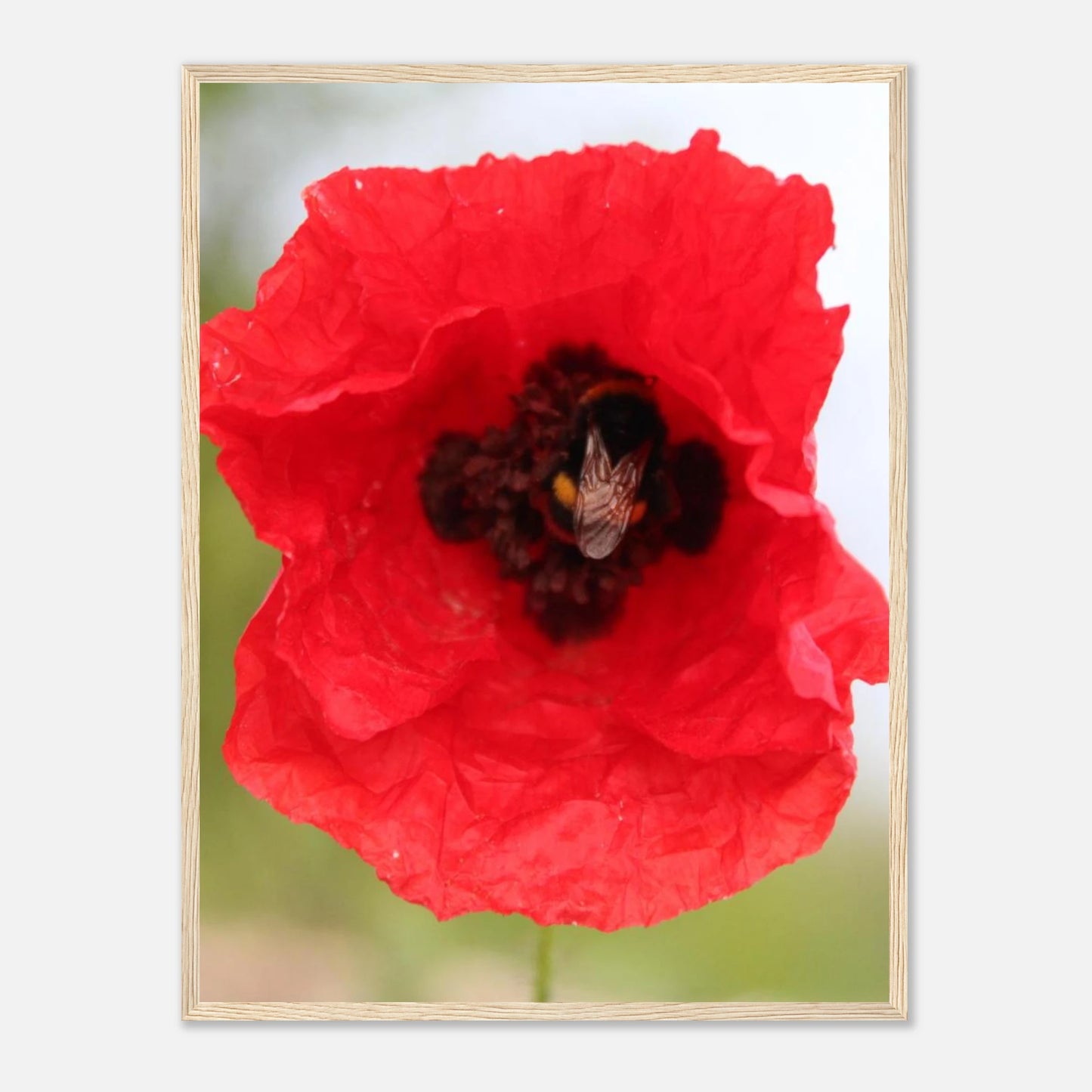 eabfbf57-f09a-479b-8641-97130c617a6c