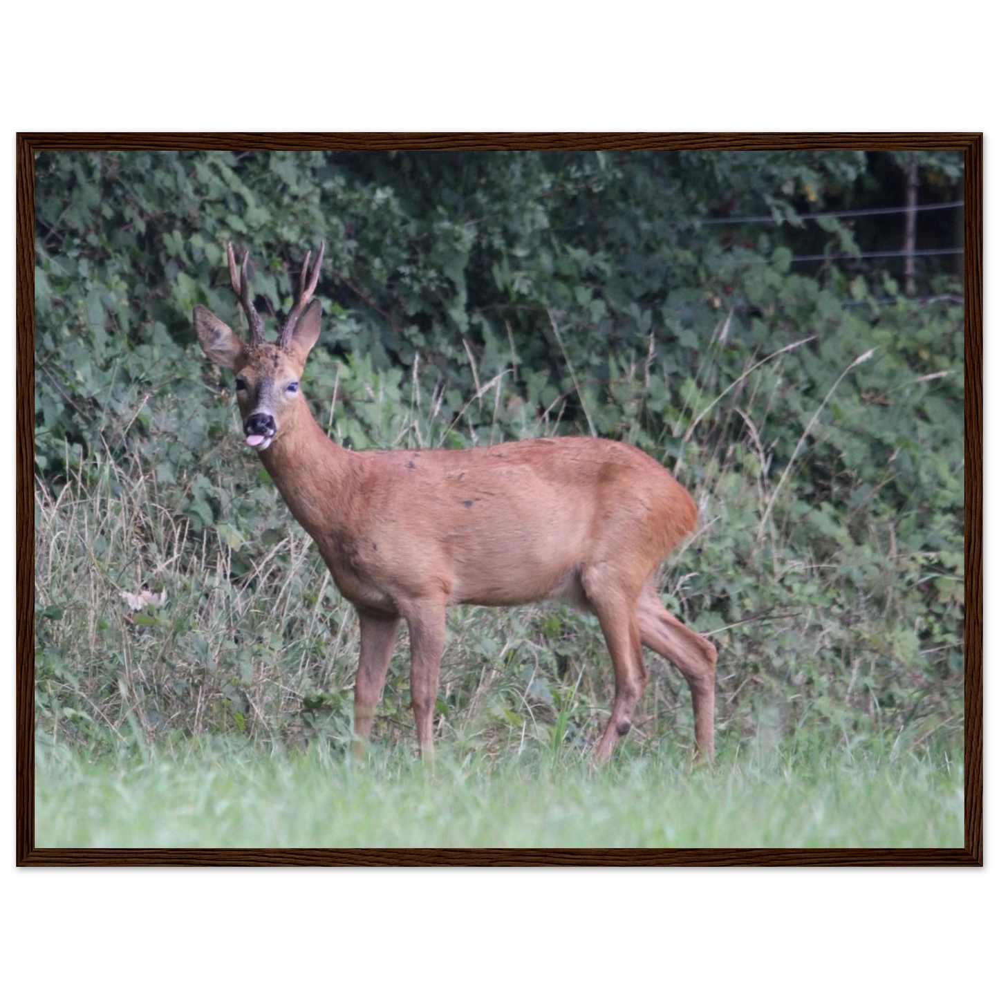 ec2509e5-7806-42b4-8167-922fba9fe357