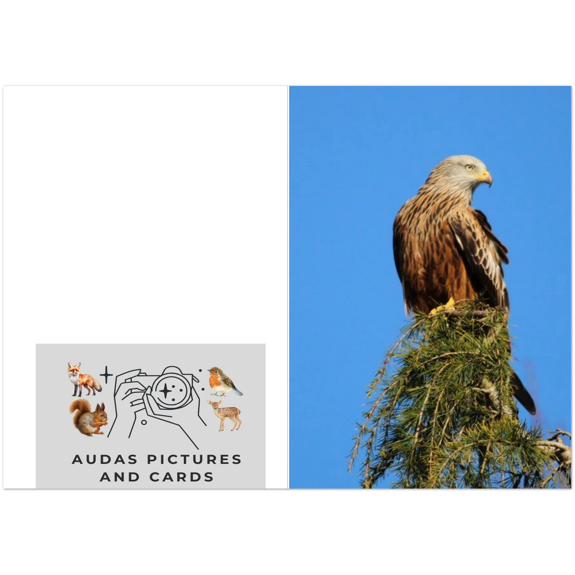 ee5b9431-53db-4c71-83d7-5c566f751358