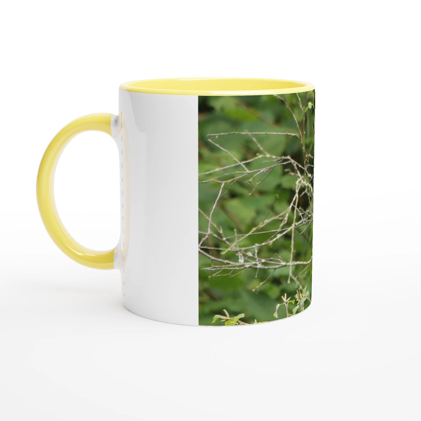 efede6a1-7c26-44b3-a10d-8a3ea59bd237