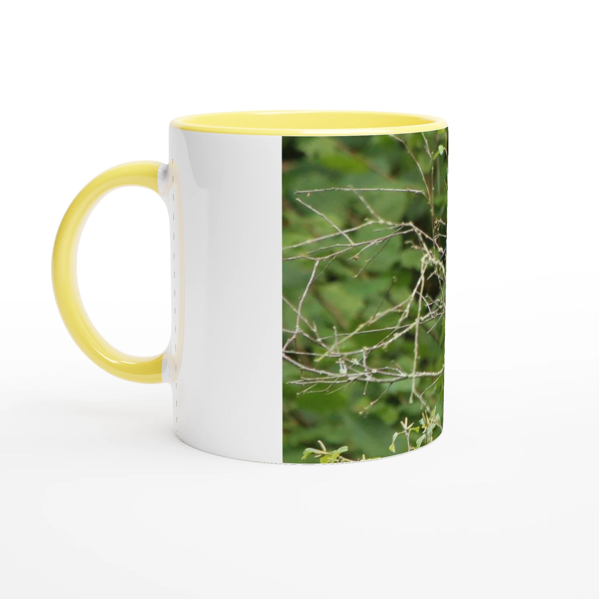 efede6a1-7c26-44b3-a10d-8a3ea59bd237