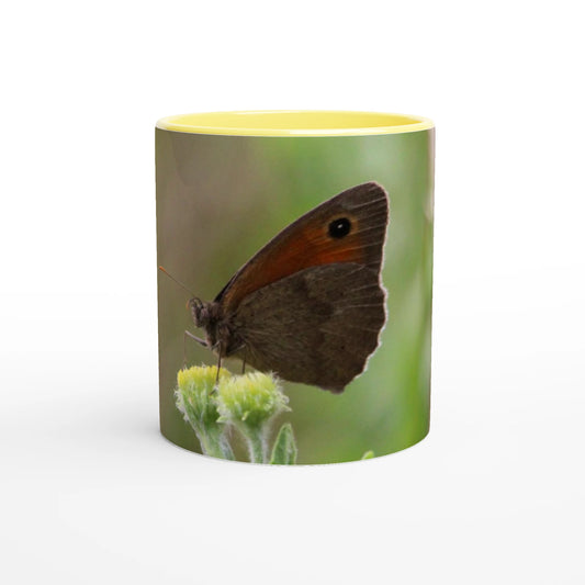 f3ad8345-90e0-4e81-87cb-aae561ad2ed3