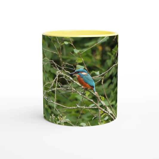 f643ffa5-7458-4a5e-8c15-c4de2884a56f