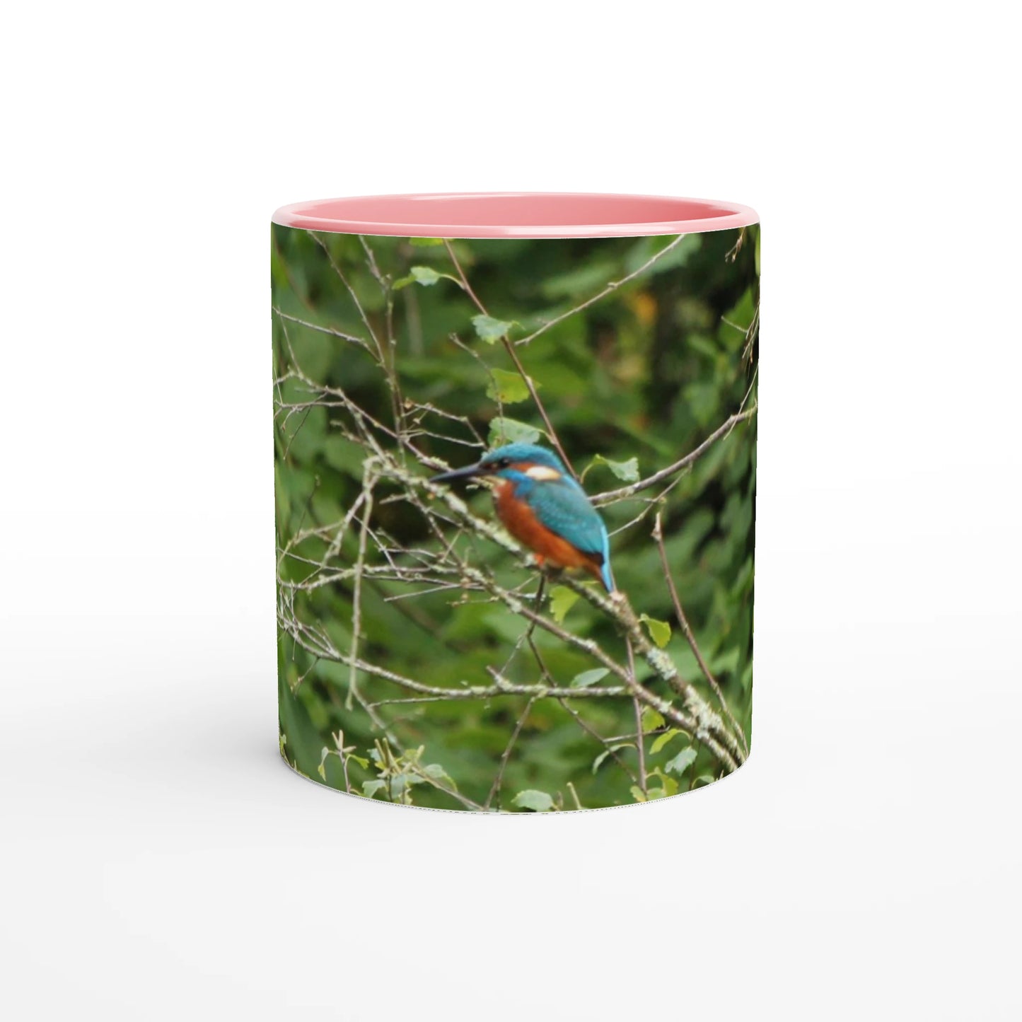 f81cbd4a-59fa-4782-a498-003bc4eb36a0